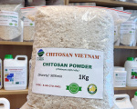 Chitosan bột/vẩy 1Kg (Deacetyl 96-99%)